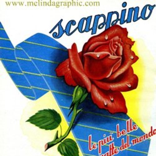 SCAPPINO